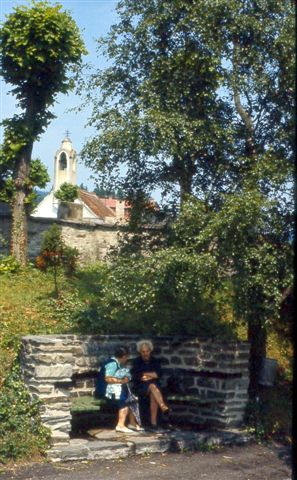 Mönichkirchen, Anton Wildgans Rast auf der Promenade, 02