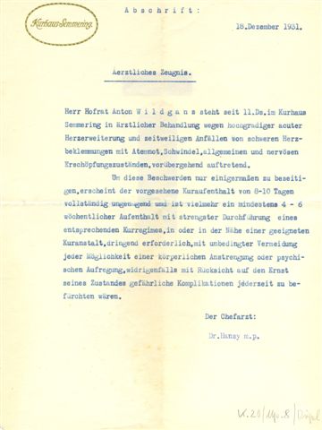 1931-12-18,  Ärztliches Zeugnis für Anton Wildgans, Kurhaus Semmering